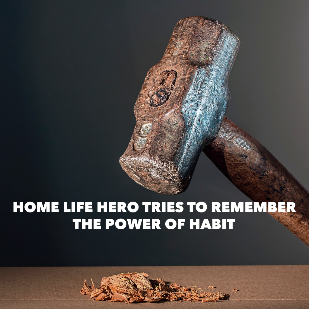 Home Life Hero tries to remember The Power of Habit